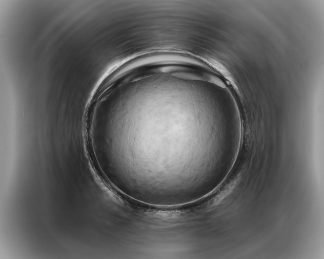 X0000087350989200704271416