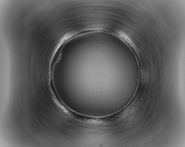 X0000087350994200704271416