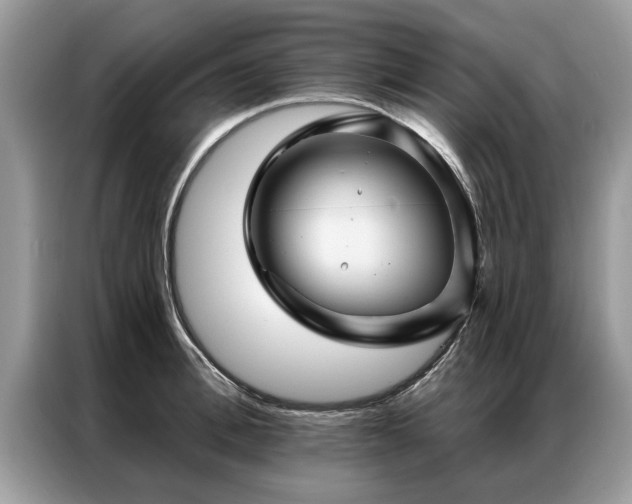 X0000087350996200704271416