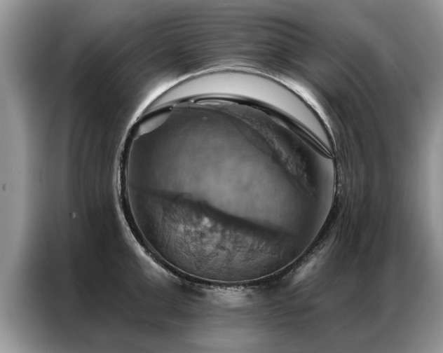 X0000087350999200704271416
