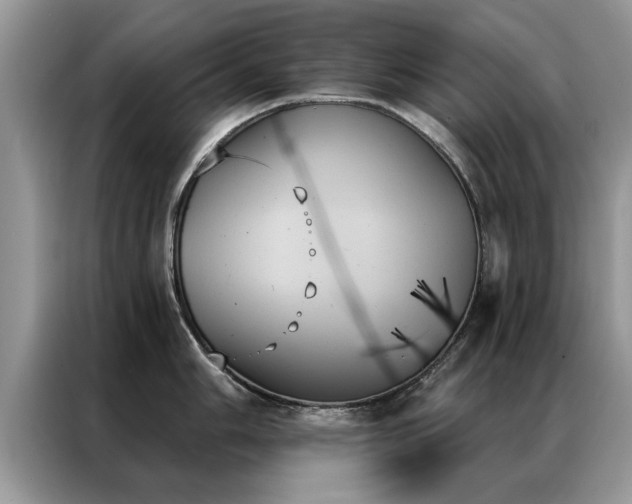 X0000087351006200704271416