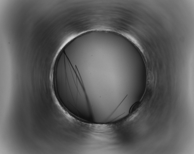 X0000087351007200704271416