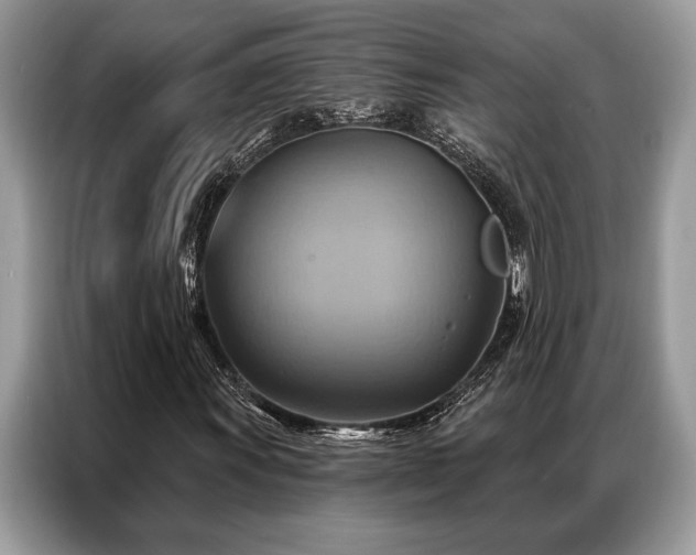 X0000087351011200704271415