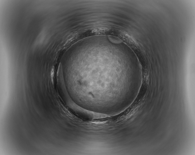 X0000087351012200704271415