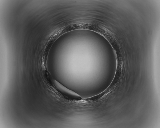X0000087351014200704271415