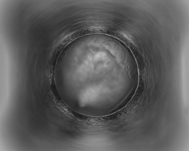 X0000087351015200704271415