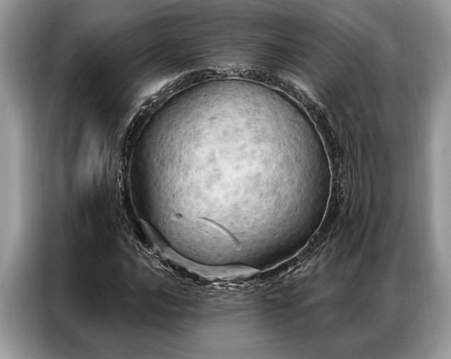 X0000087351016200704271415
