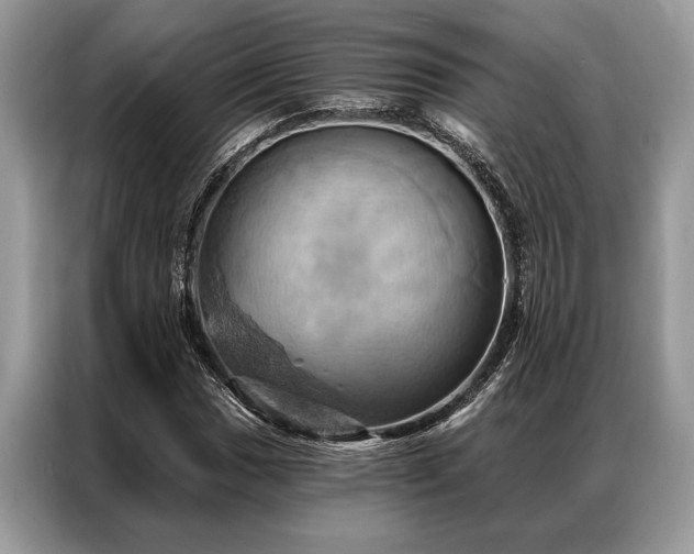 X0000087351017200704271415