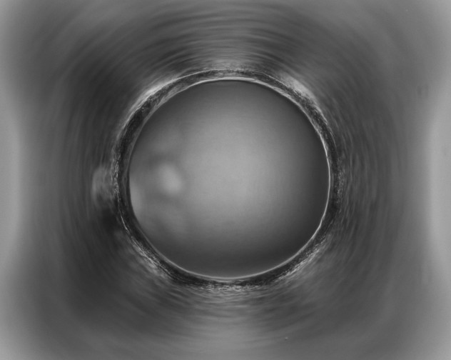 X0000087351019200704271415