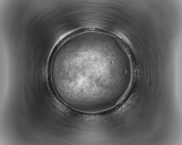 X0000087351020200704271415