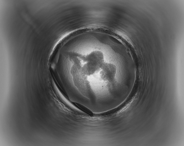 X0000087351021200704271415