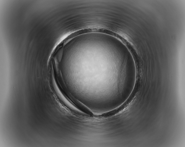 X0000087351022200704271415