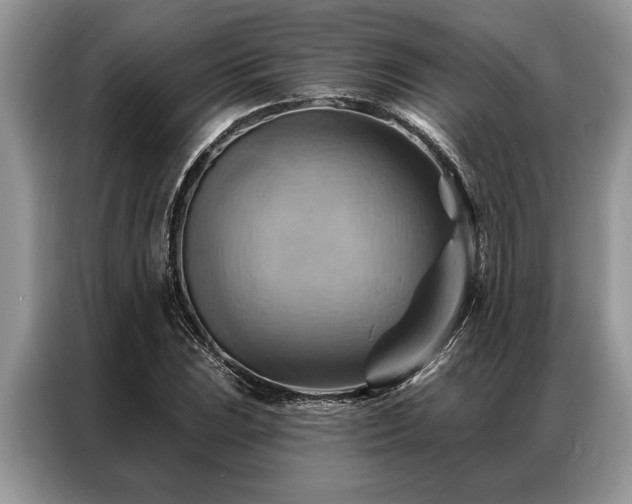 X0000087351023200704271415