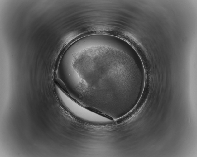 X0000087351025200704271416