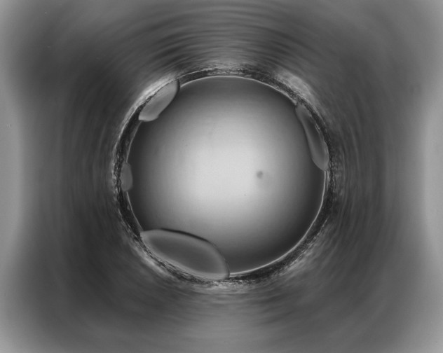 X0000087351026200704271416