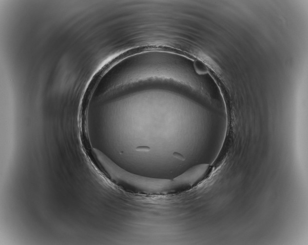 X0000087351028200704271416