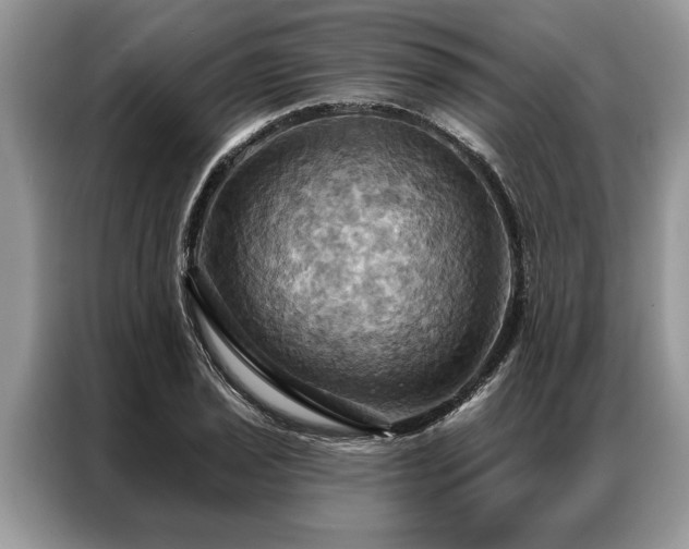 X0000087351029200704271416