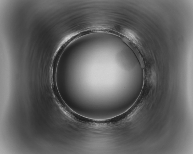 X0000087351030200704271416