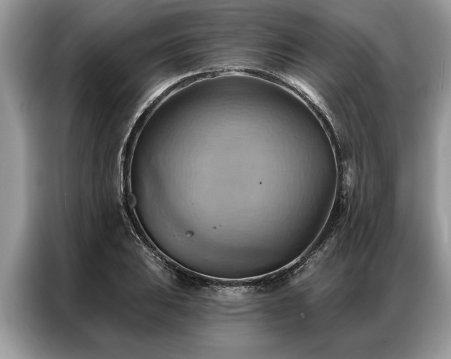 X0000087351031200704271416