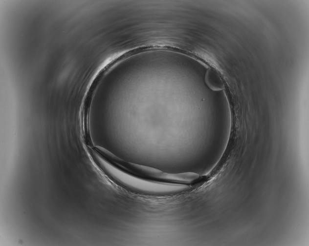 X0000087351032200704271416