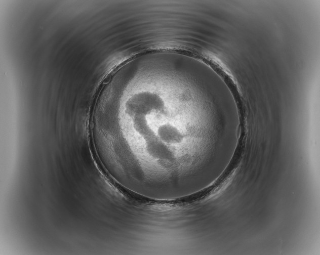 X0000087351033200704271416