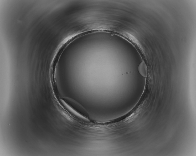 X0000087351035200704271416