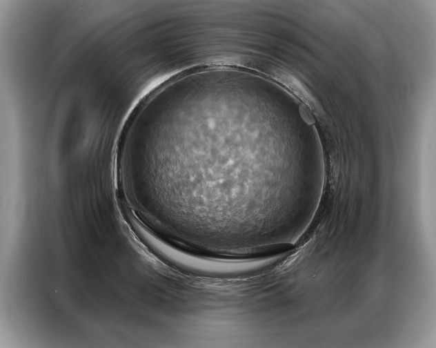 X0000087351036200704271416
