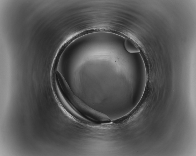 X0000087351037200704271416