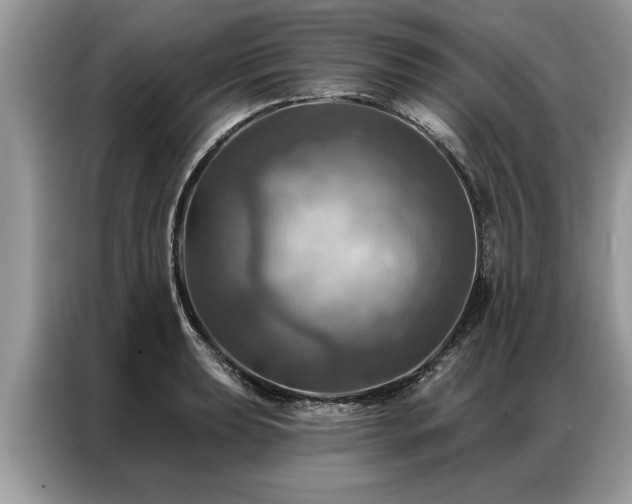 X0000087351039200704271416