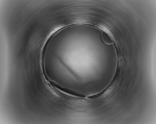 X0000087351043200704271416