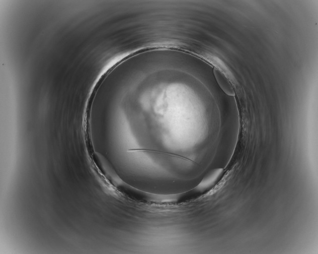 X0000087351044200704271416