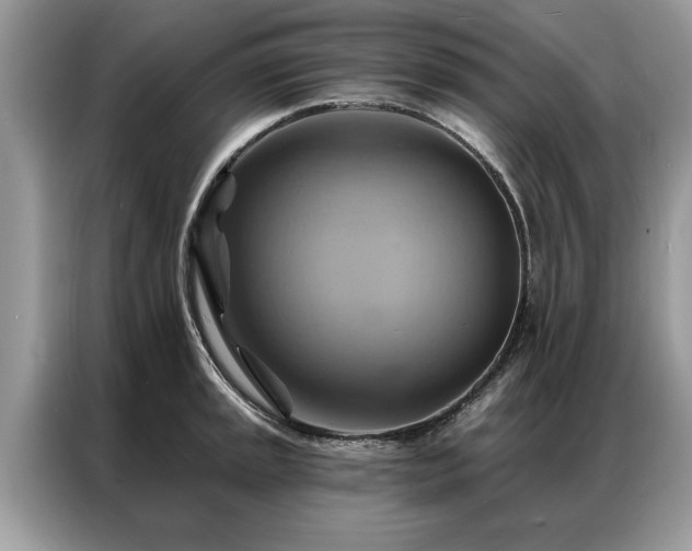 X0000087351045200704271416