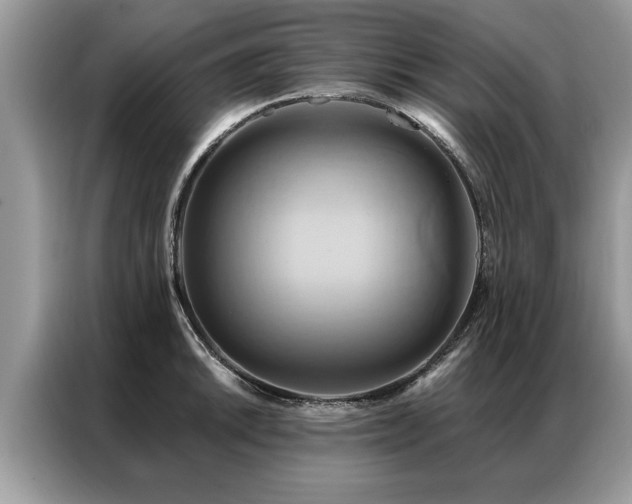 X0000087351046200704271416