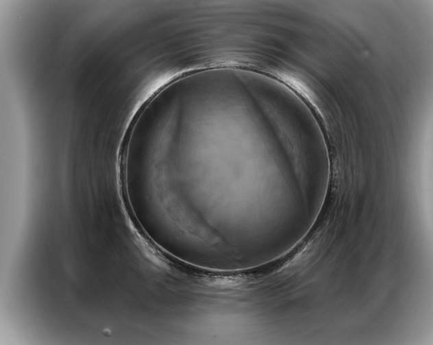X0000087351047200704271416
