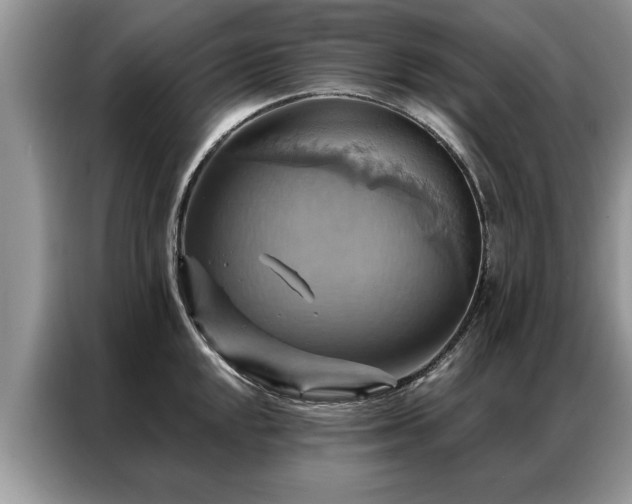 X0000087351048200704271416