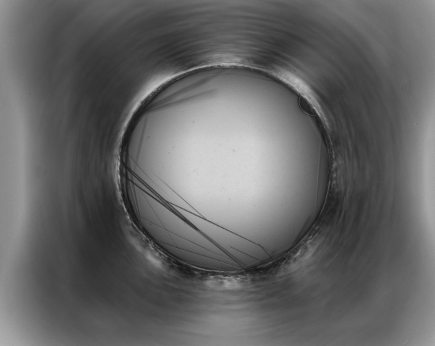 X0000087351051200704271416
