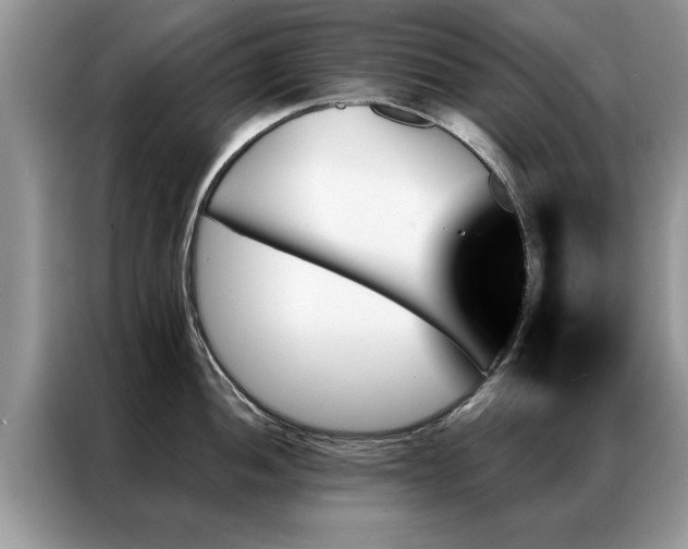 X0000087351052200704271416