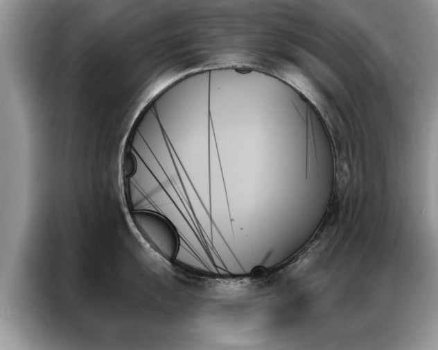 X0000087351055200704271416