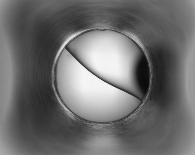 X0000087351056200704271416