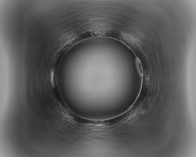X0000087351060200704271415