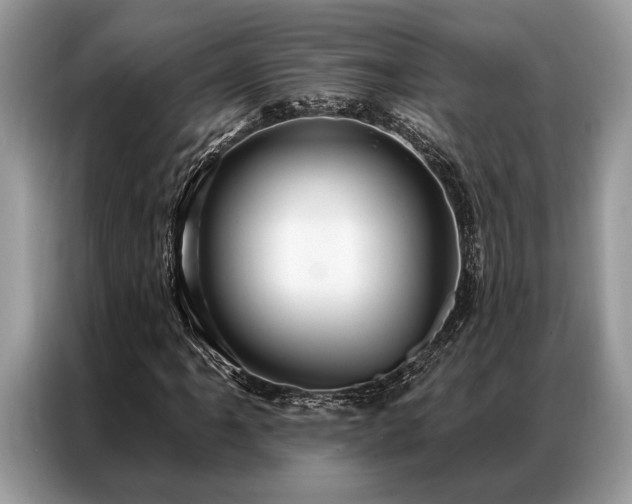 X0000087351061200704271415