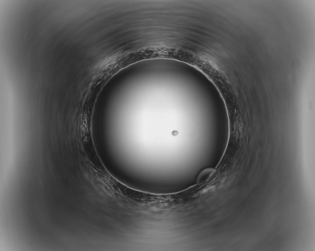 X0000087351062200704271415