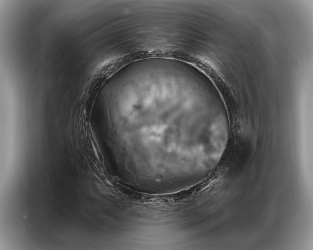 X0000087351063200704271415