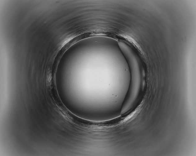 X0000087351065200704271415