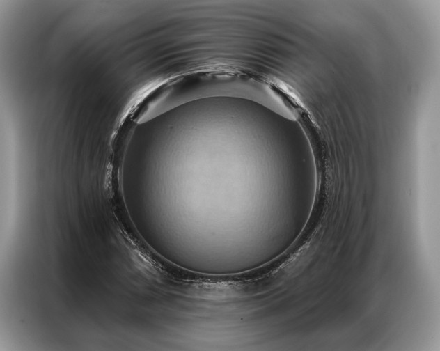 X0000087351066200704271415