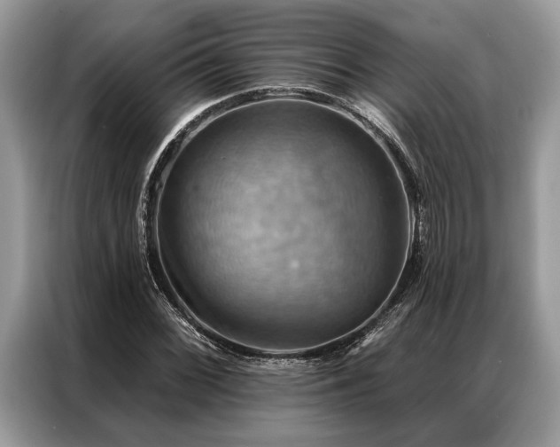 X0000087351068200704271415