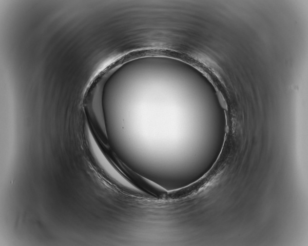 X0000087351069200704271415