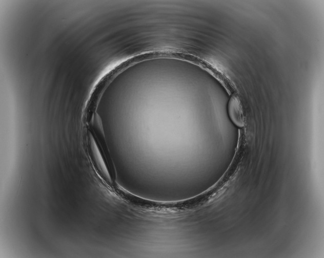 X0000087351070200704271415