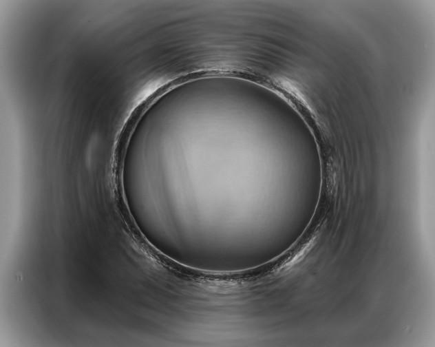 X0000087351071200704271415