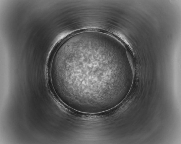 X0000087351072200704271415